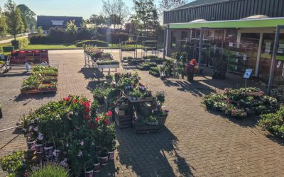 BLOEMEN EN PLANTENSHOW: 7 & 8 MEI