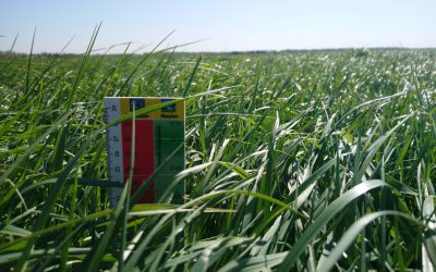 Het (gras)meststoffen seizoen is geopend!