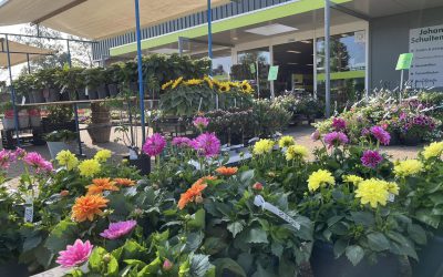 8 & 9 MEI | Bloemen en Plantenshow |